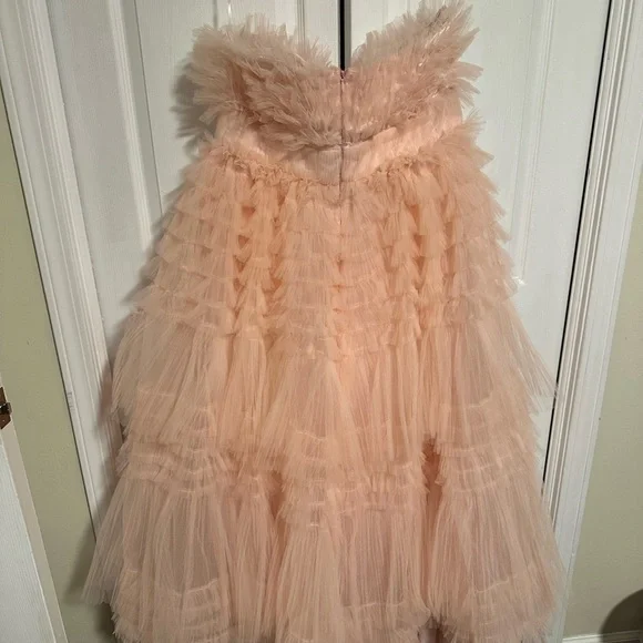 AKIRA Blush Tulle Women’s Dress - Picture 3 of 4